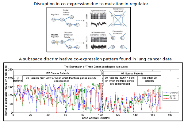 Data Mining For Biomedical Informatics Group University Of Minnesota